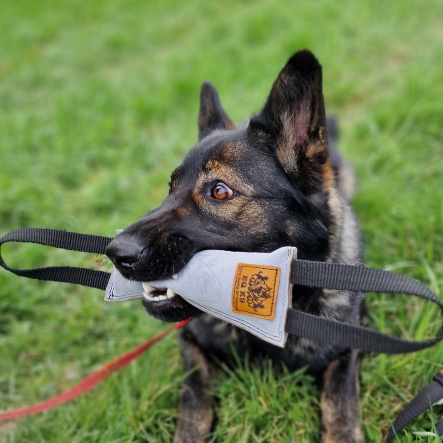 EQ K9 Dog Tug Set - Tug/Bite Pillow image 4