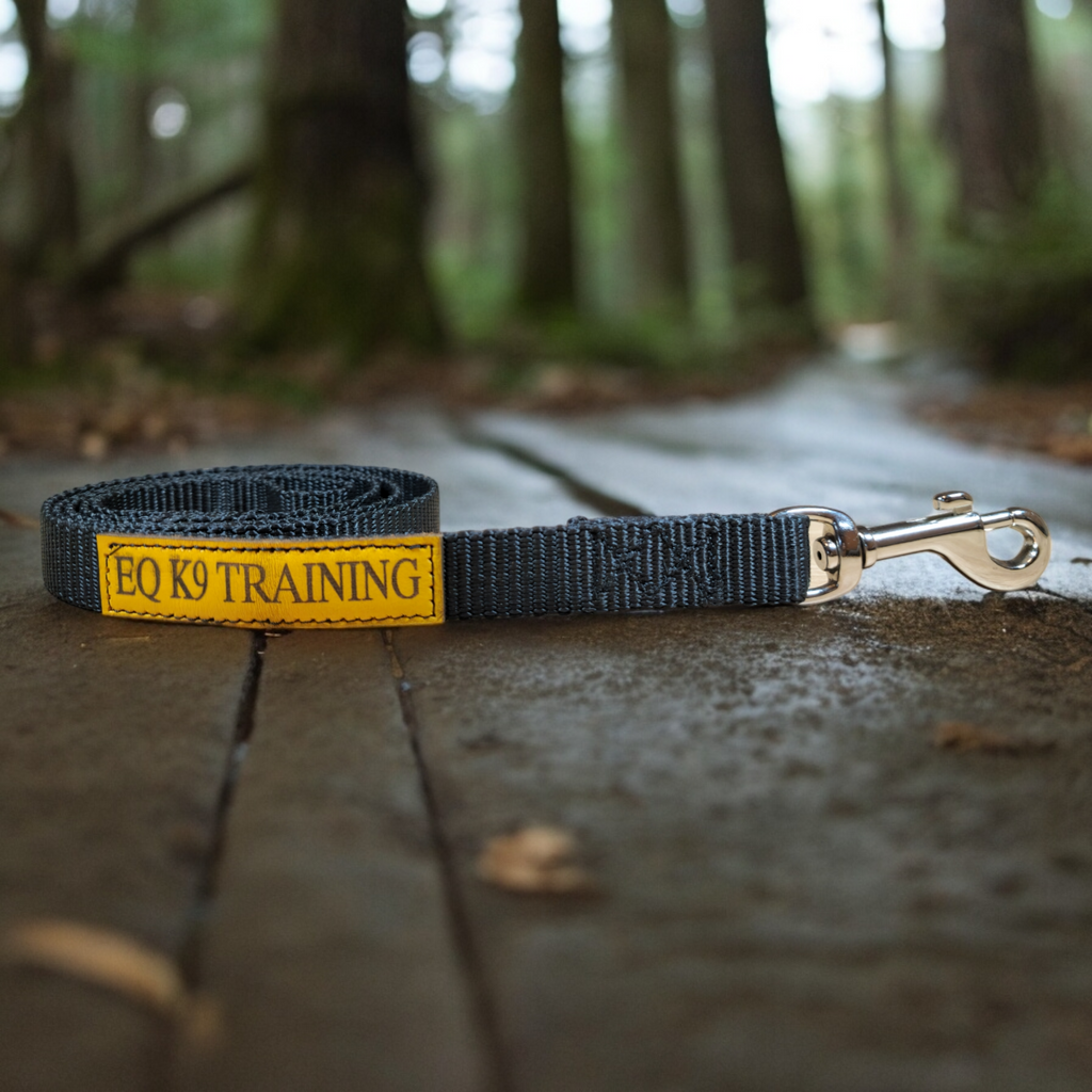 EQ K9 Dog Lead 1.2m with Handle image 3