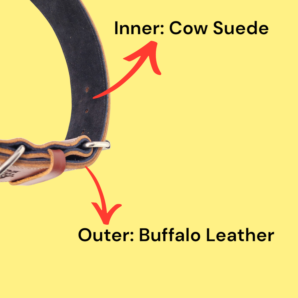 EQ K9 Premium Leather Collar – Strong, Stylish & Comfortable image 7