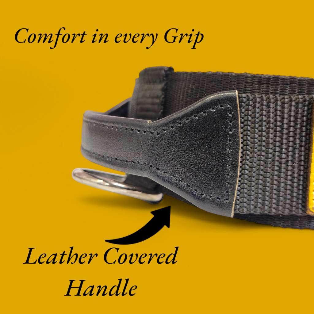 EQ K9 Dog Collar with Handle - 2 Layers - Heavy Duty Buckle image 3