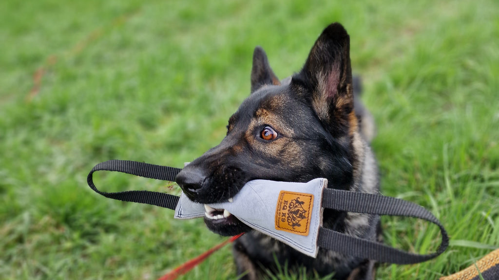 EQ K9 Leather Dog Tug with 2 Handles image 4