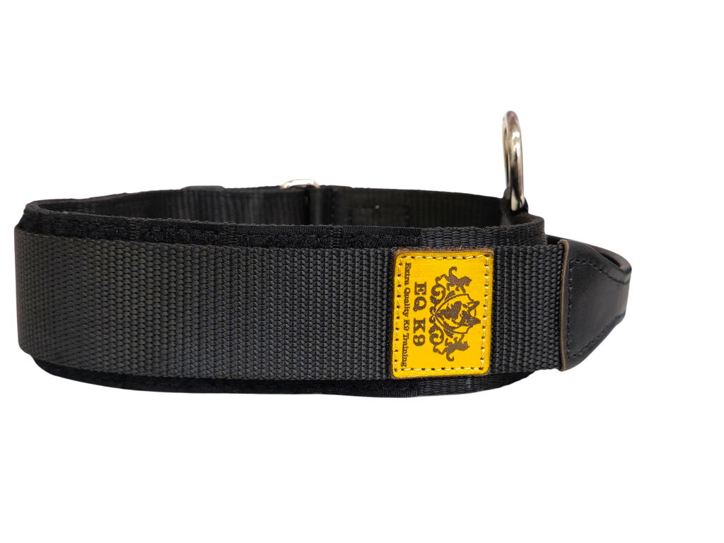 EQ K9 Dog Collar with Handle - 2 Layers - Heavy Duty Buckle image 4