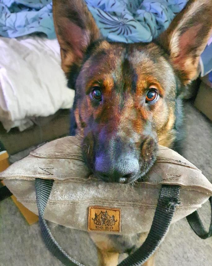 EQ K9 Leather Bite Pillow image 6
