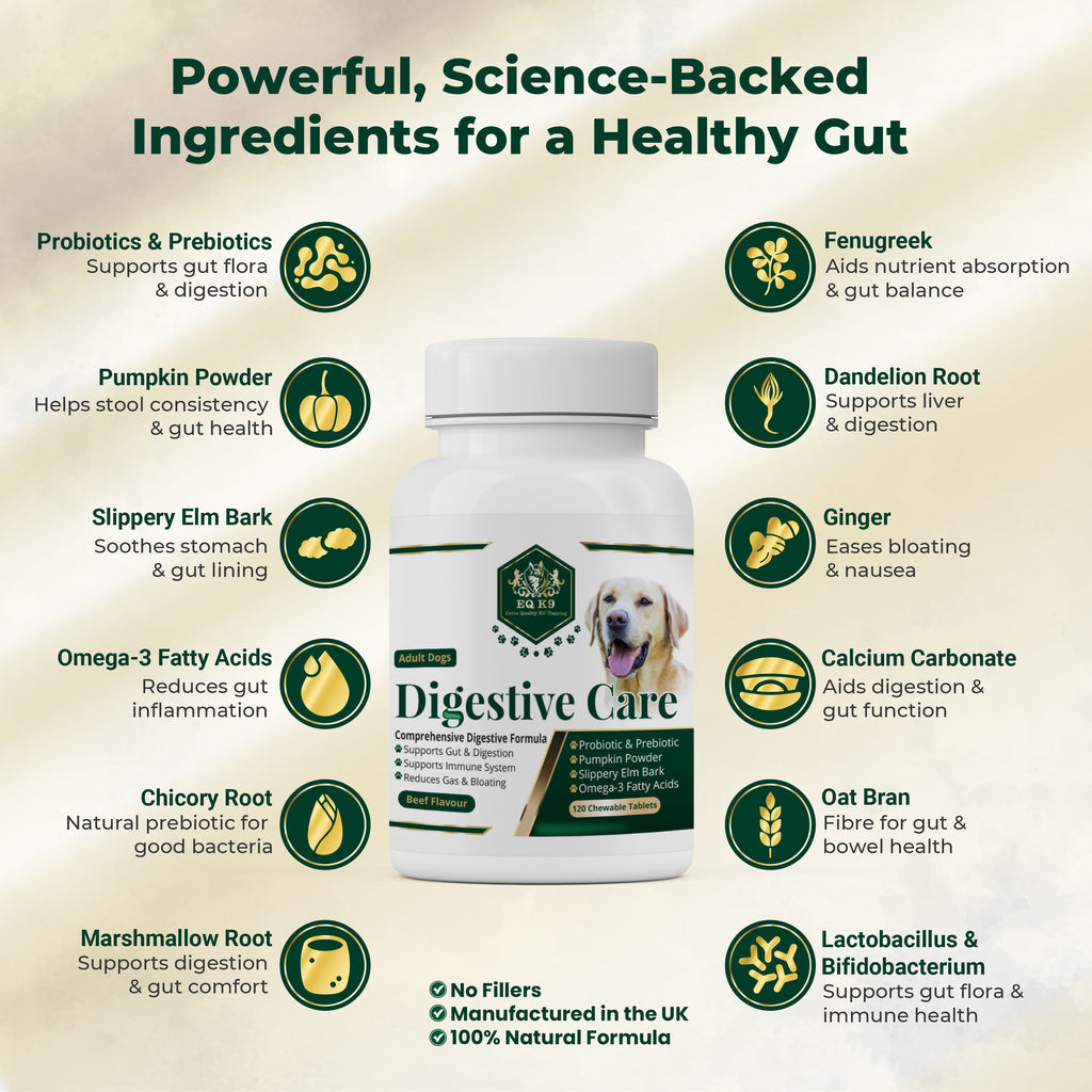 EQ K9 Prebiotics & Probiotics for Dogs, 120 Comprehensive Digestive Care Tablets image 1