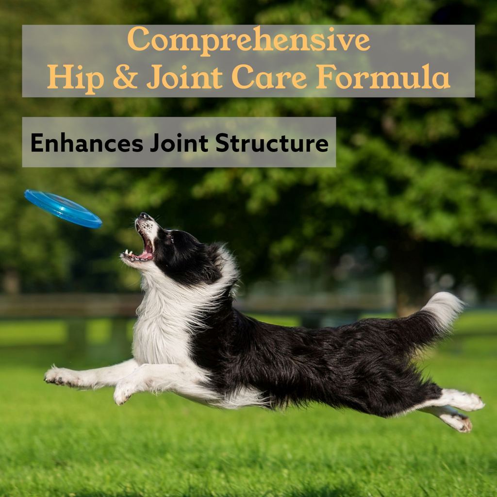 EQ K9 Hip & Joint Supplement for Dogs | 120 Chewable Tablets | Beef Flavour image 5