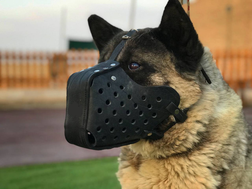 EQ K9 Leather Muzzle for Defence, Training, Police Dogs image 1