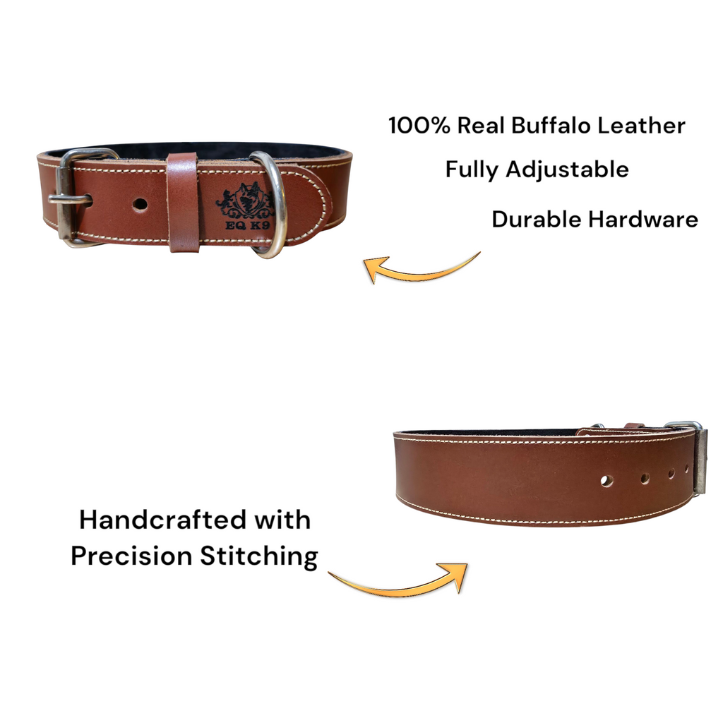 EQ K9 Premium Leather Collar – Strong, Stylish & Comfortable image 8