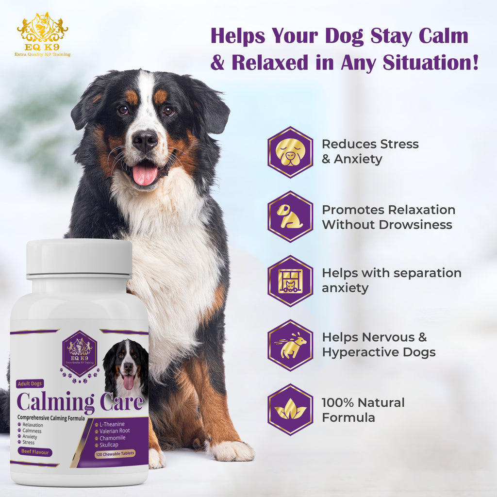 EQ K9 Calming Care for Dogs | 120 Chewable Tablets | Beef Flavour image 4