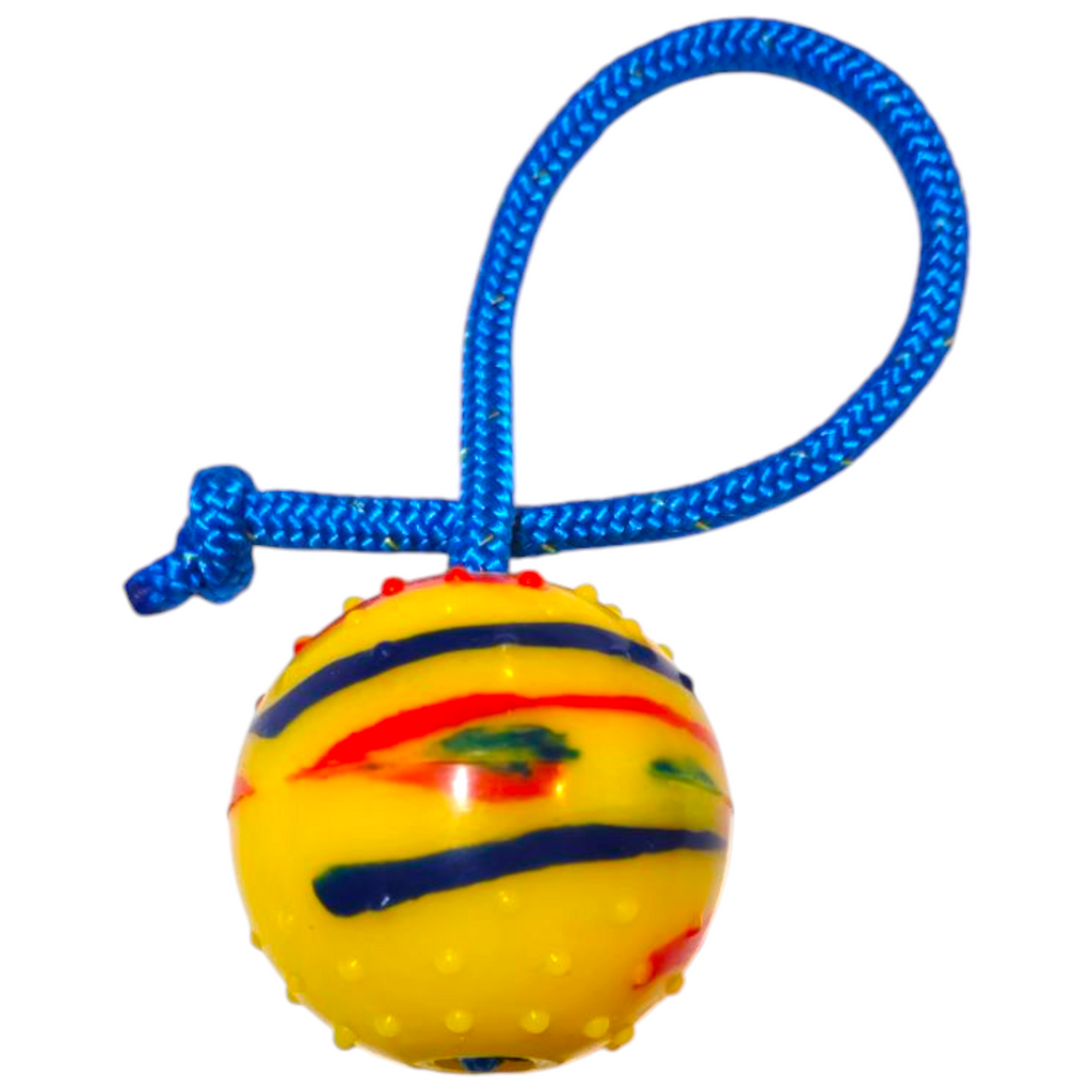 EQ K9 Dog Ball on Rope - Silicone - Dirt Resistant image 0