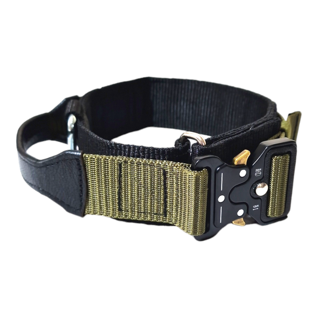 EQ K9 Dog Collar with Handle - 2 Layers - Heavy Duty Buckle image 5