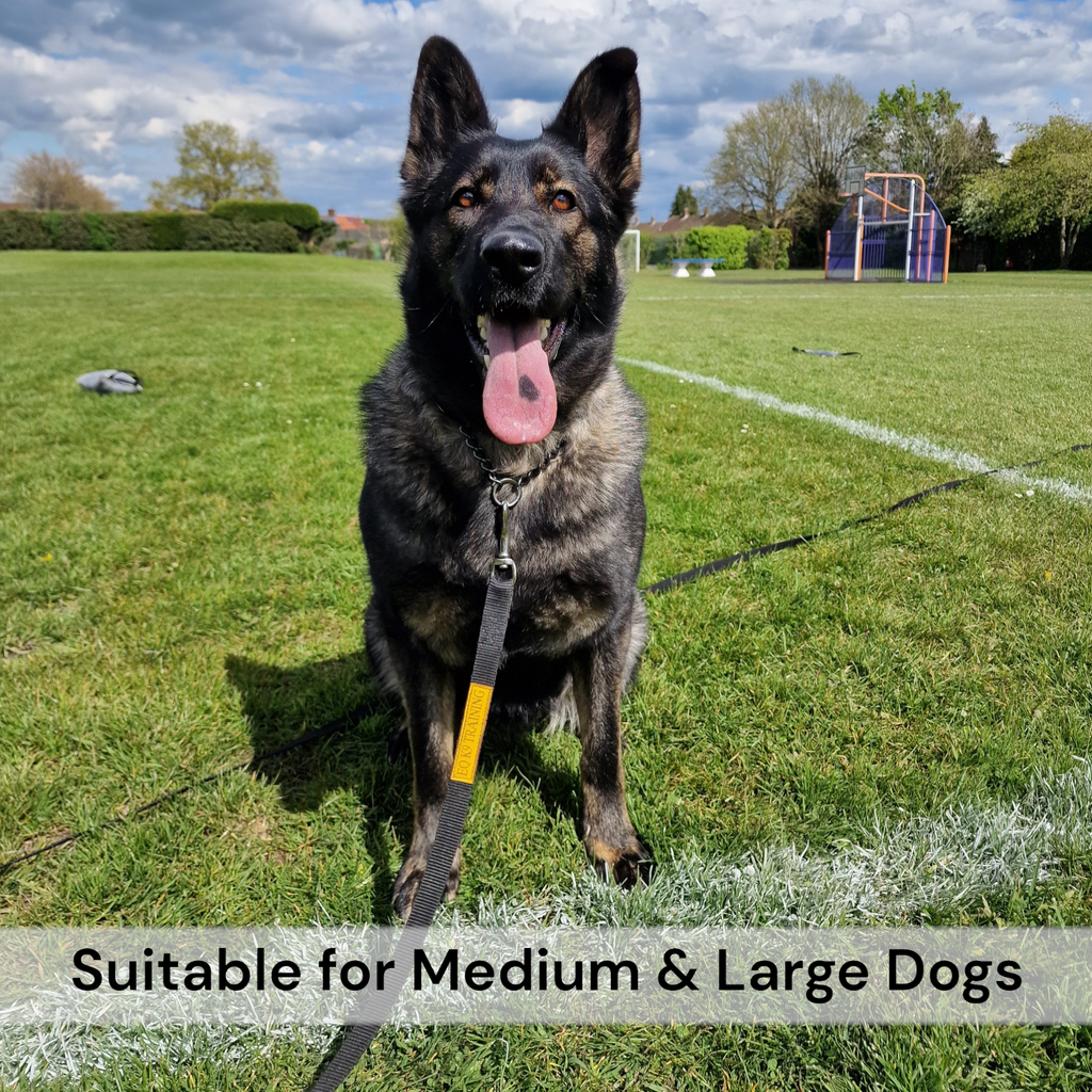 EQ K9 Dog Lead with Handle for Dog Training image 2