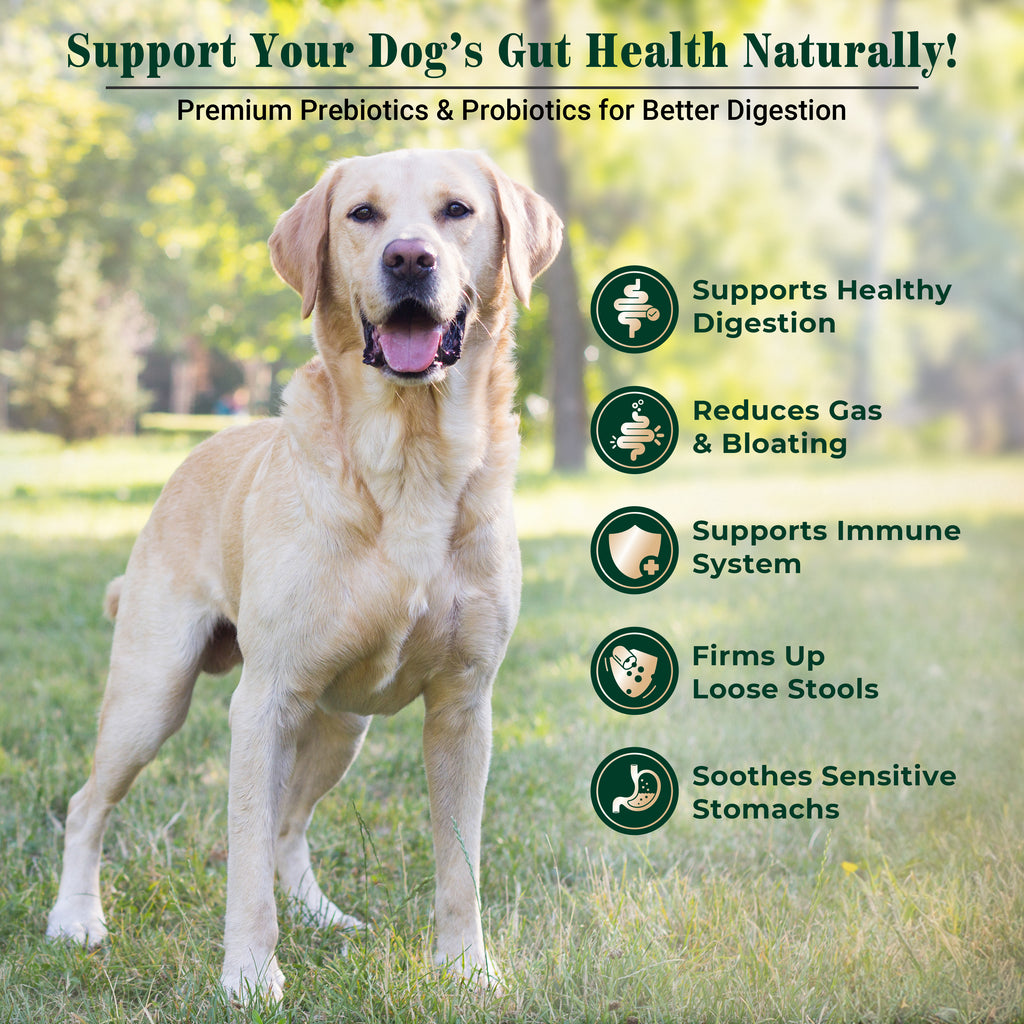 EQ K9 Prebiotics & Probiotics for Dogs, 120 Comprehensive Digestive Care Tablets image 2