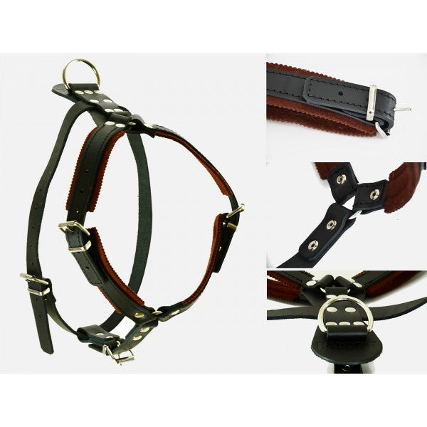 RADDOG Leather Harness for Defense image 1