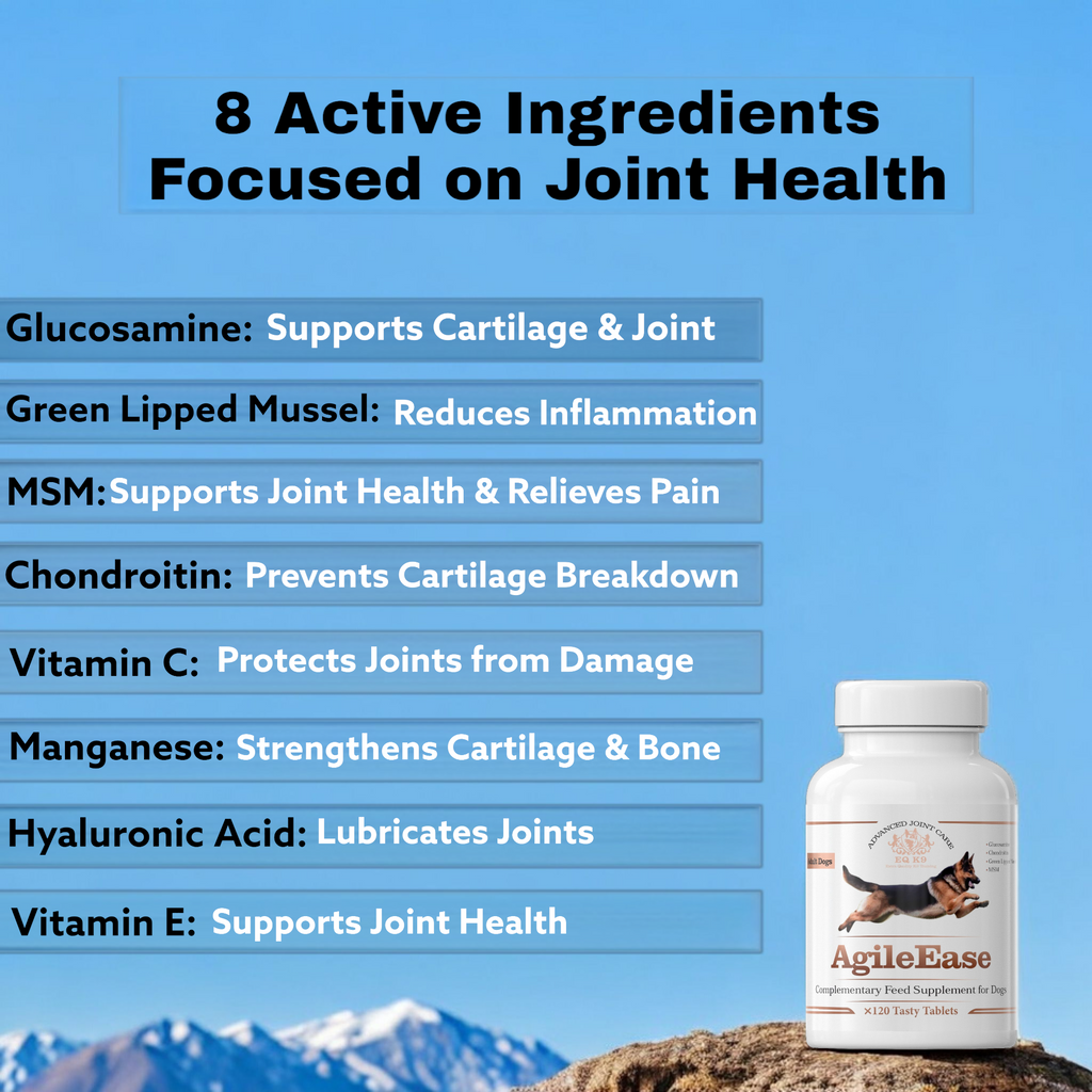 EQ K9 Hip & Joint Supplement for Dogs | 120 Chewable Tablets | Beef Flavour image 2
