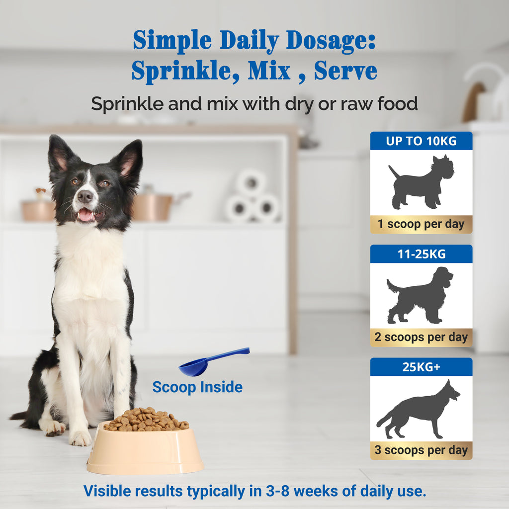 EQ K9 Dental Powder for Dogs | Natural Plaque & Tartar Remover | 70g image 4