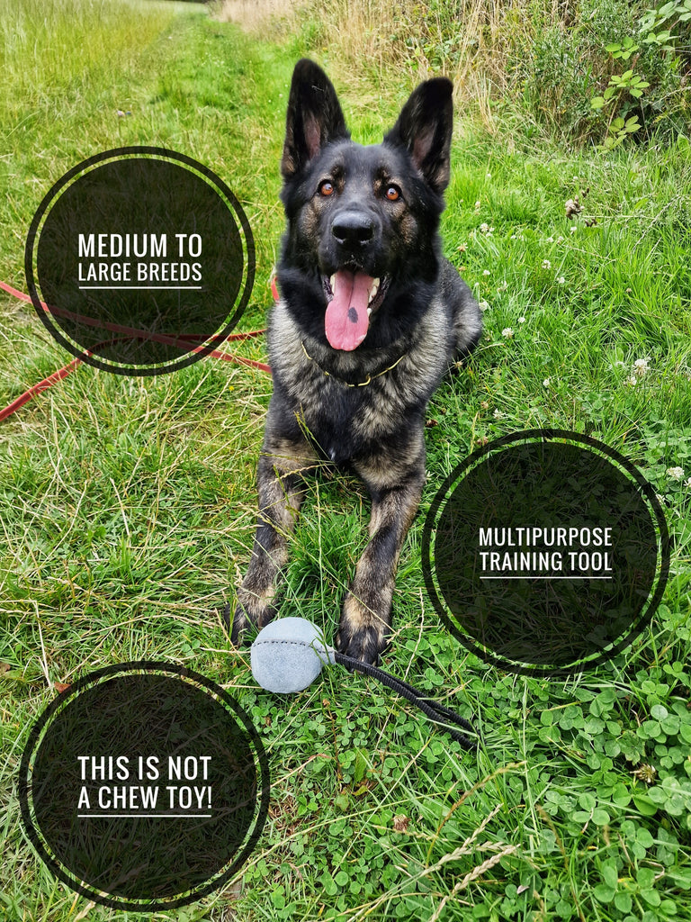 EQ K9 Leather Dog Ball with Handle for Medium to Large Dogs image 3
