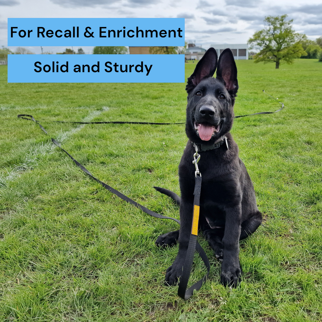 EQ K9 Dog Lead with Handle for Dog Training image 3