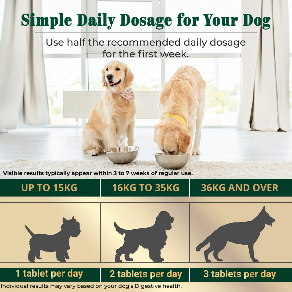 EQ K9 Prebiotics & Probiotics for Dogs, 120 Comprehensive Digestive Care Tablets image 4
