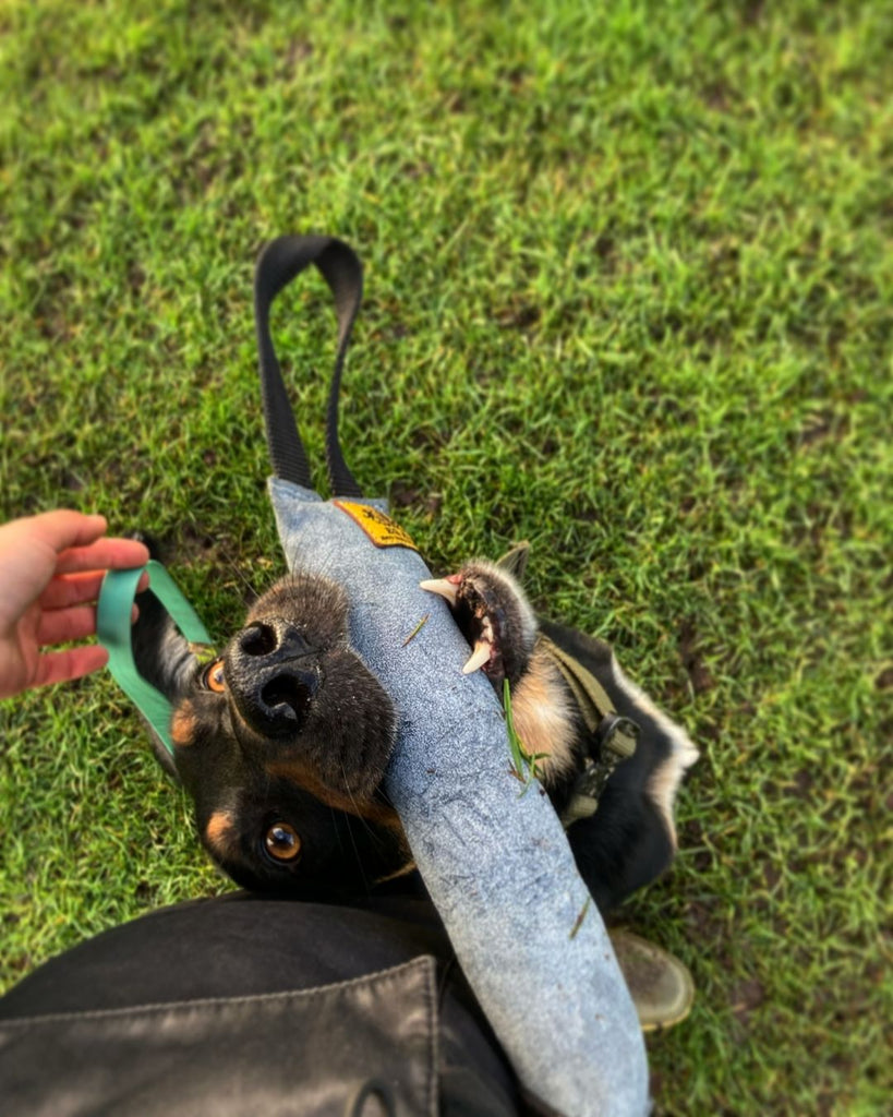 EQ K9 Dog Tug Set - Tug/Ball image 3