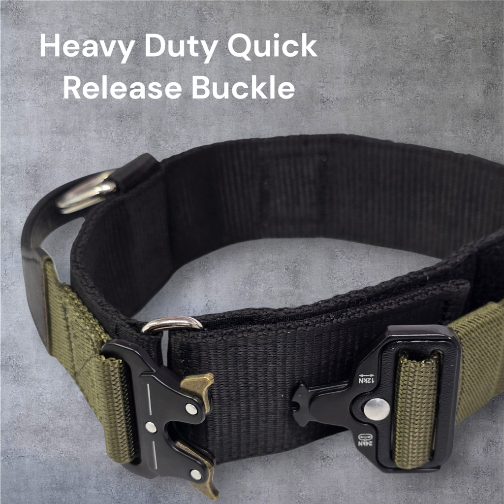 EQ K9 Dog Collar with Handle - 2 Layers - Heavy Duty Buckle image 2