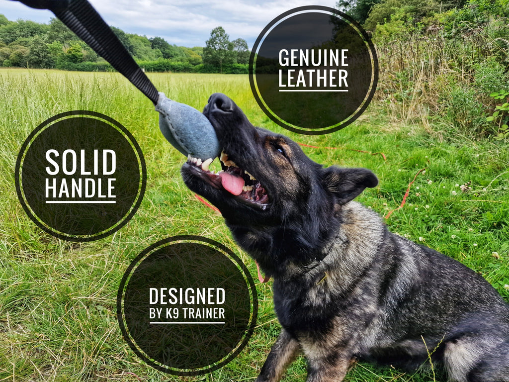 EQ K9 Leather Dog Ball with Handle for Medium to Large Dogs image 1