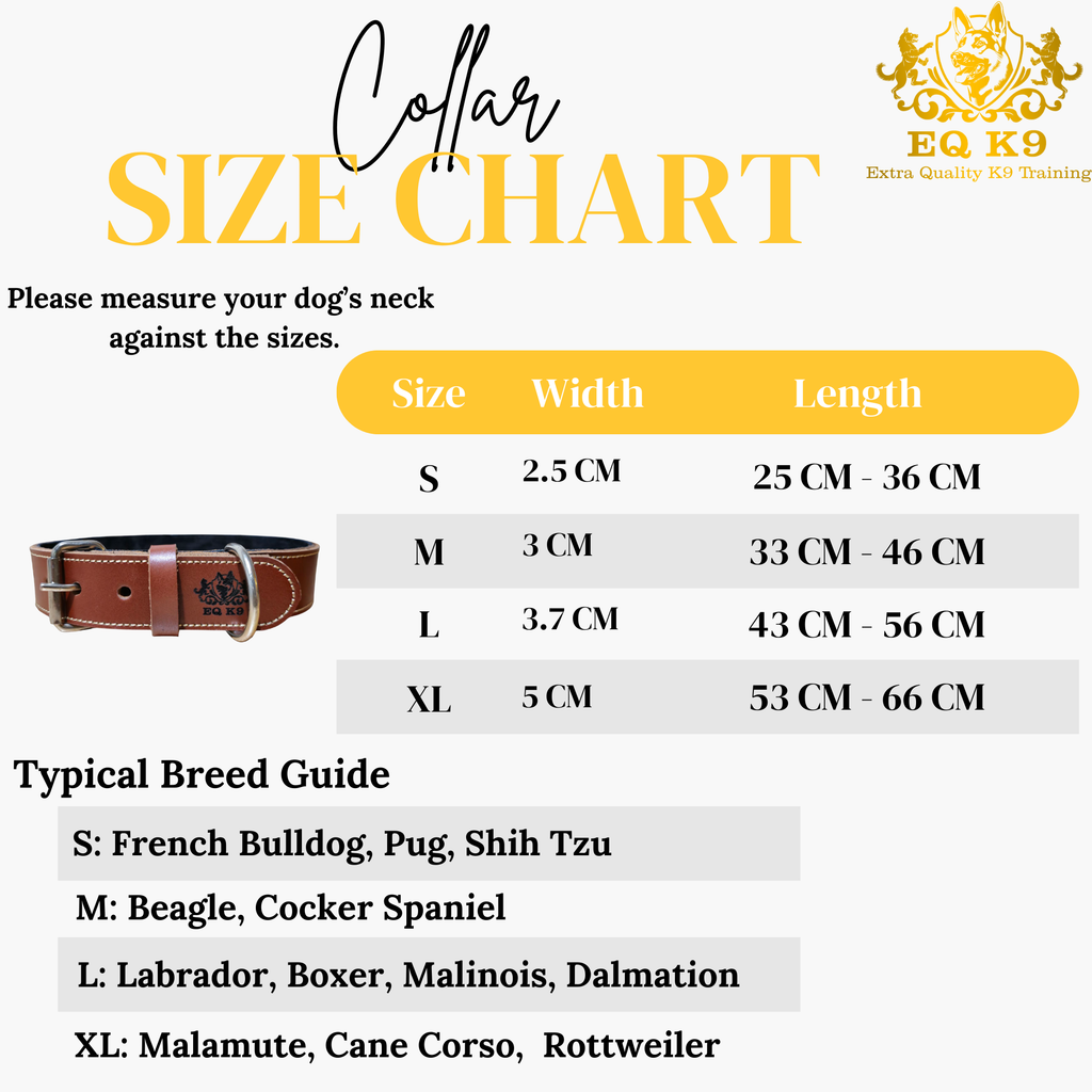 EQ K9 Premium Leather Collar – Strong, Stylish & Comfortable image 6