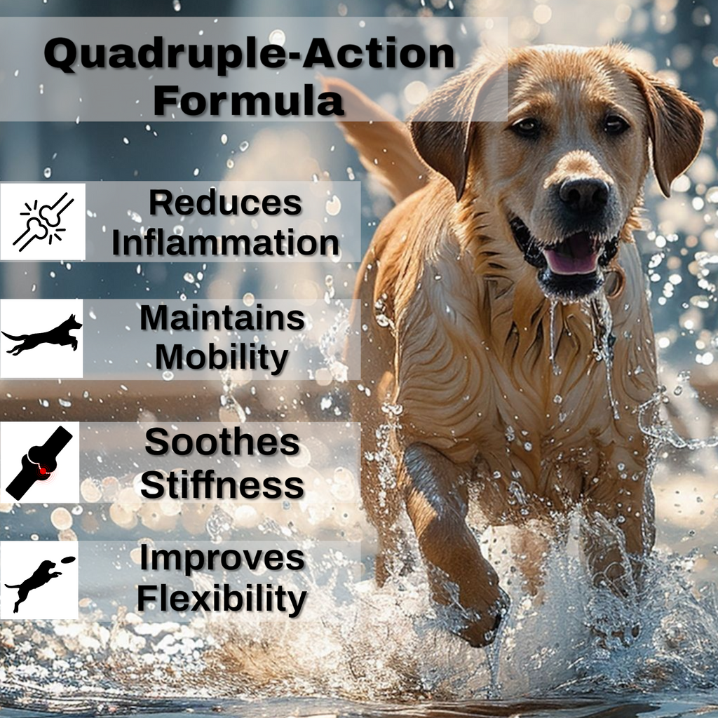 EQ K9 Hip & Joint Supplement for Dogs | 120 Chewable Tablets | Beef Flavour image 1