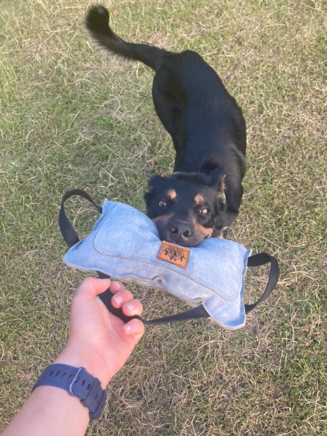 EQ K9 Leather Bite Pillow image 3