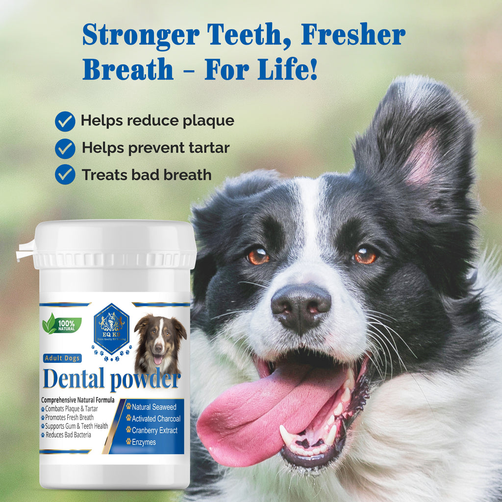 EQ K9 Dental Powder for Dogs | Natural Plaque & Tartar Remover | 70g image 6