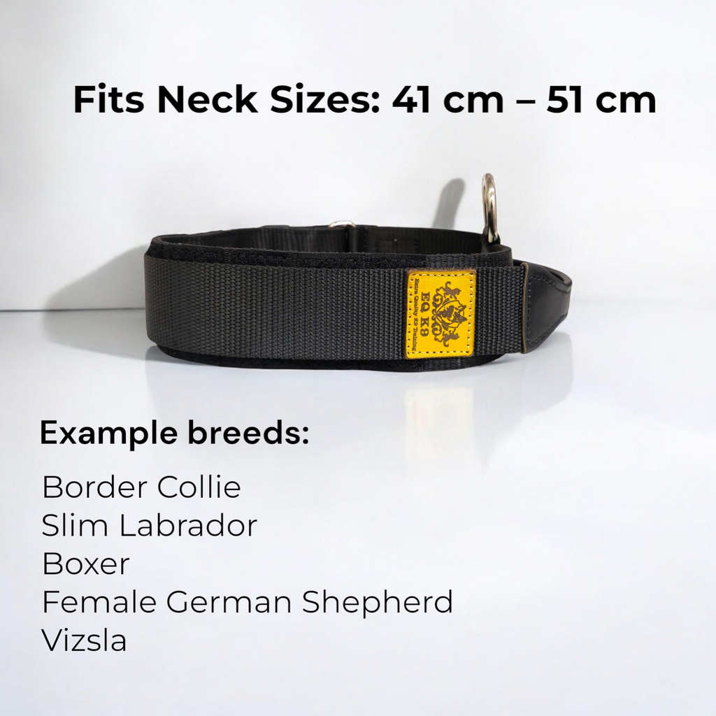 EQ K9 Dog Collar with Handle - 2 Layers - Heavy Duty Buckle image 7