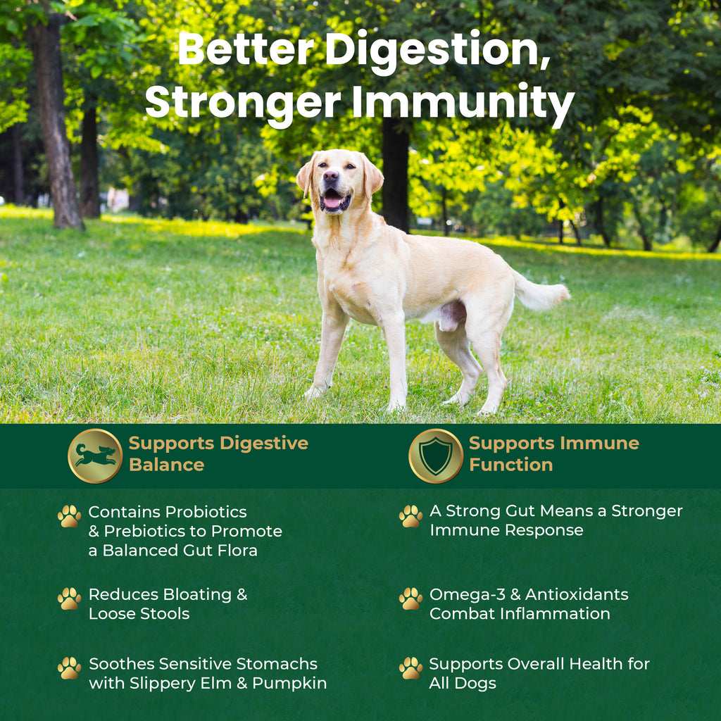 EQ K9 Prebiotics & Probiotics for Dogs, 120 Comprehensive Digestive Care Tablets image 3