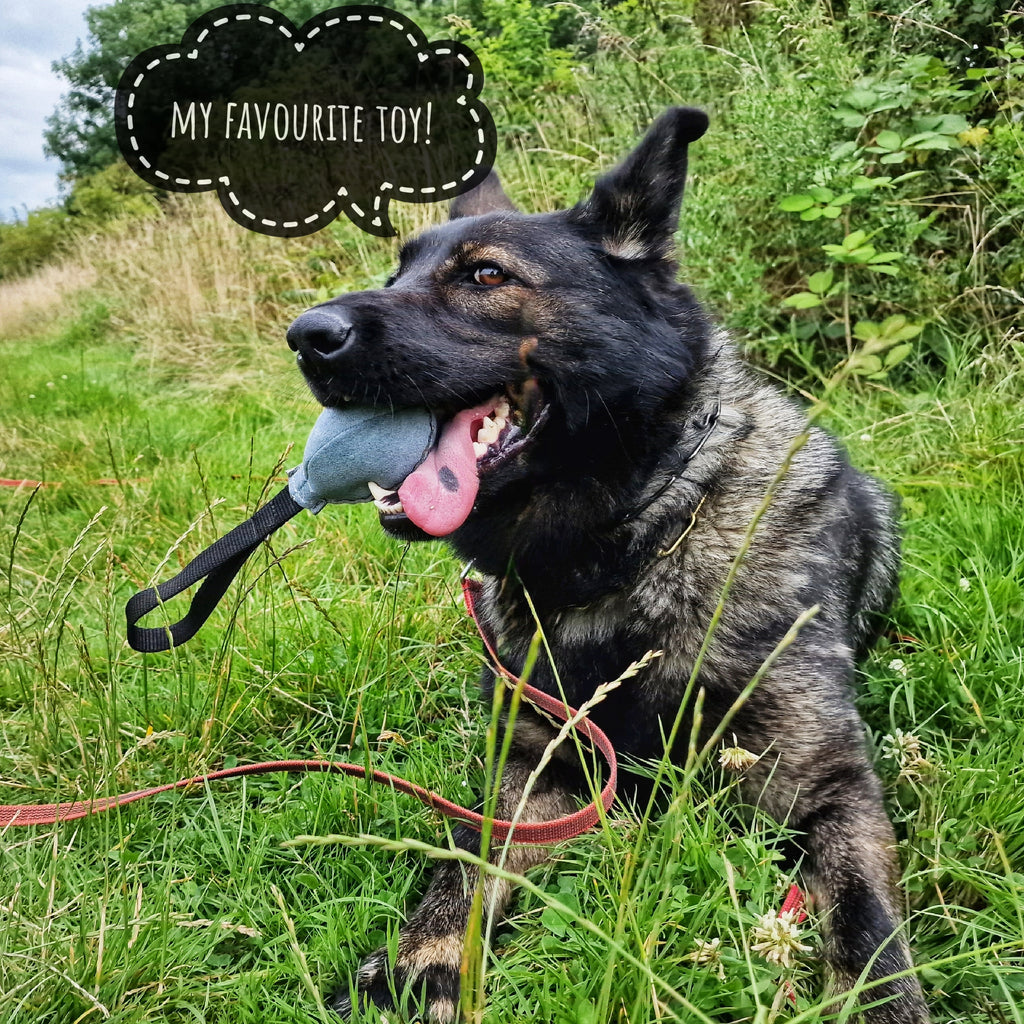 EQ K9 Dog Tug Set - Tug/Ball image 6