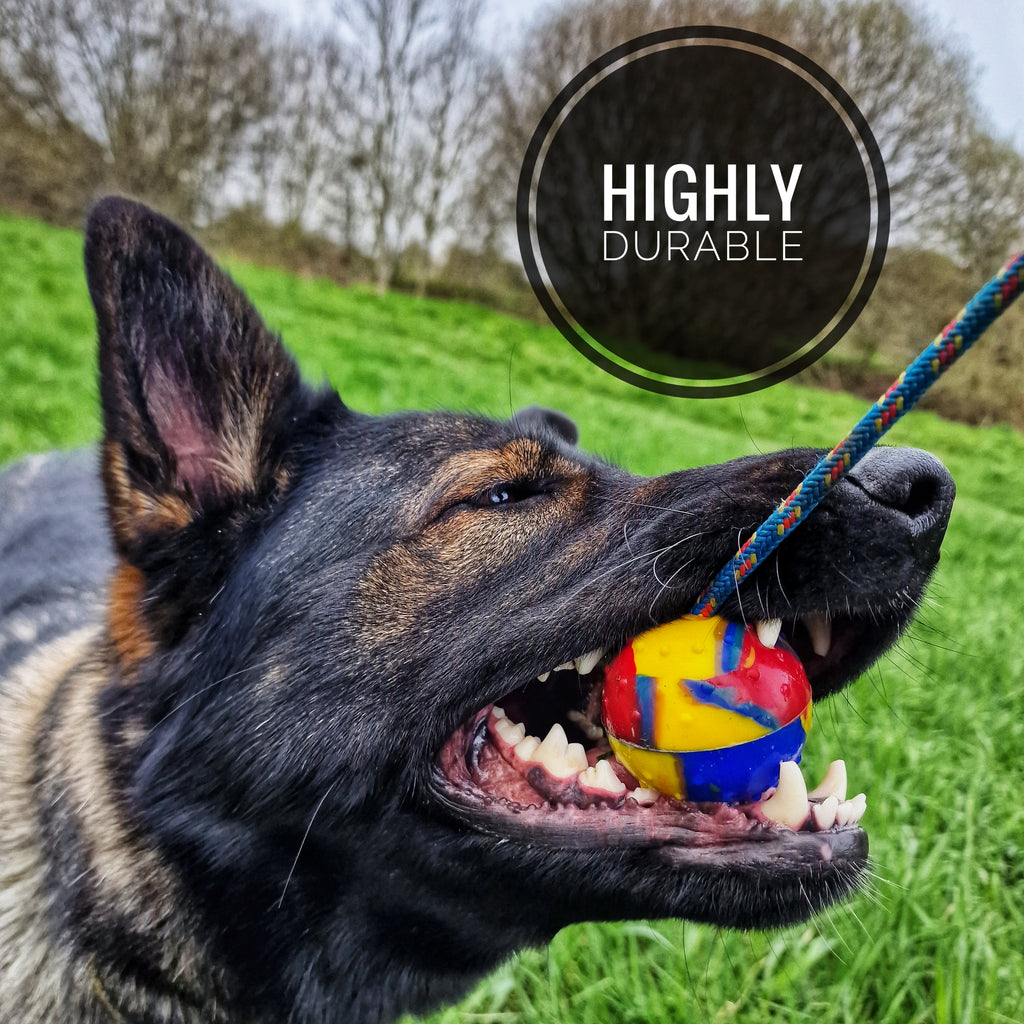 EQ K9 Dog Ball on Rope - Silicone - Dirt Resistant image 2