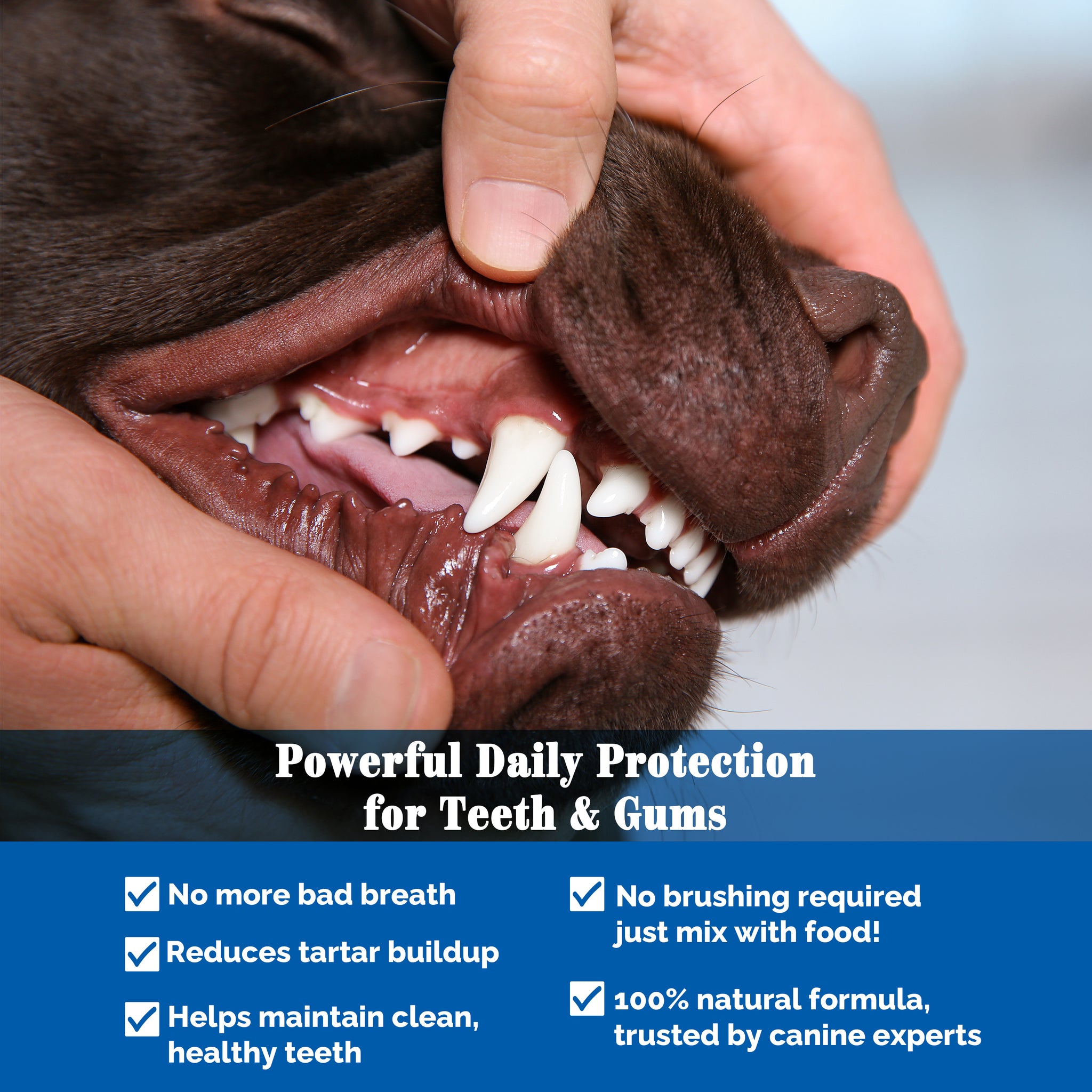 Dog Dental Powder, Plaque Tartar Remover with Seaweed Charcoal